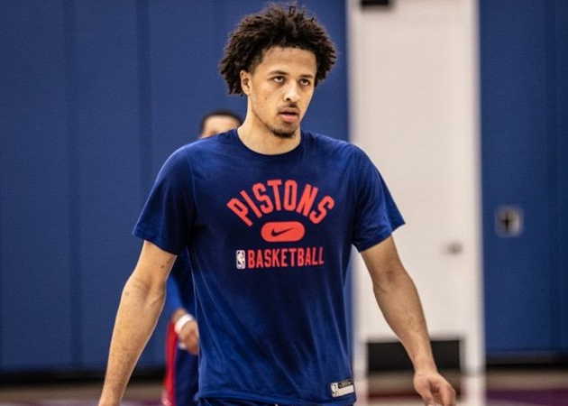 新援引进的 新援引进的