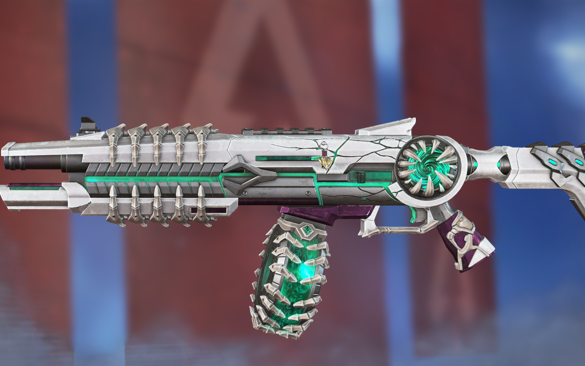 归化球员已 归化球员已